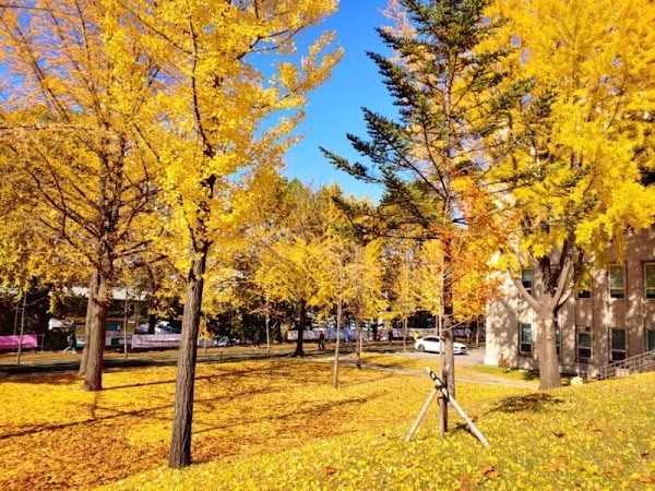Seoul National University of Science and Technology 4