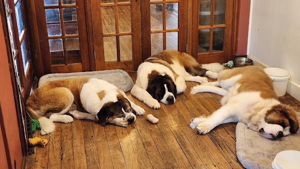 St Bernards Hotel 2