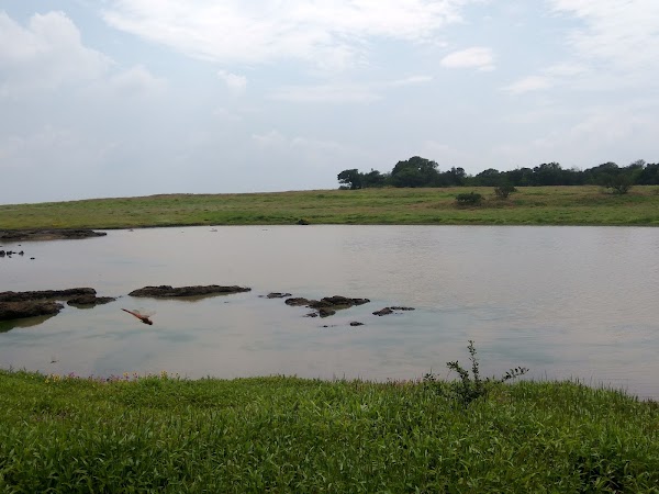 Kaas plateau