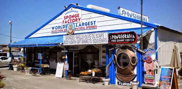Spongeorama On The Water 1