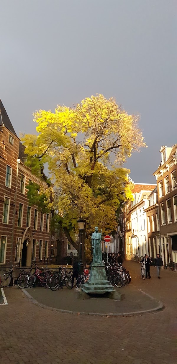 Utrecht 4