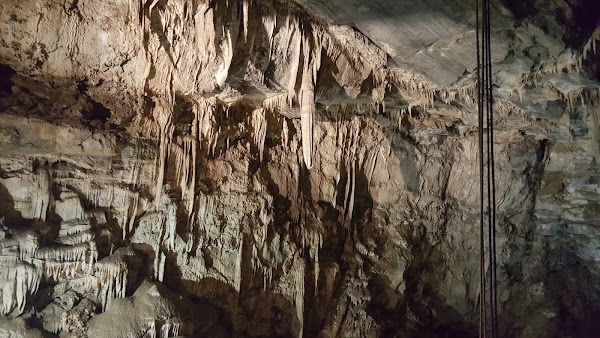 Moaning Caverns Adventure Park 3