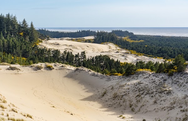 Oregon Dunes Day Use Area
