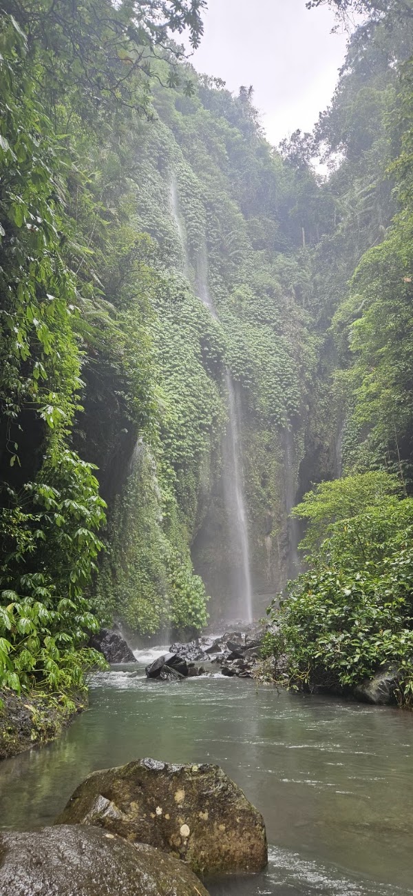 Sekumpul Waterfall 4