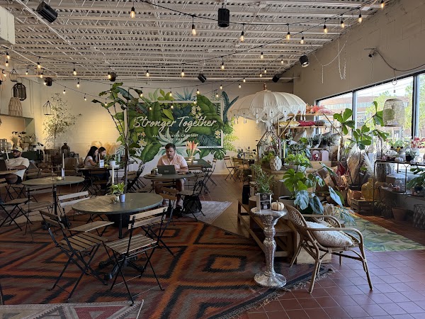 Black Phin Coffee Bar 3