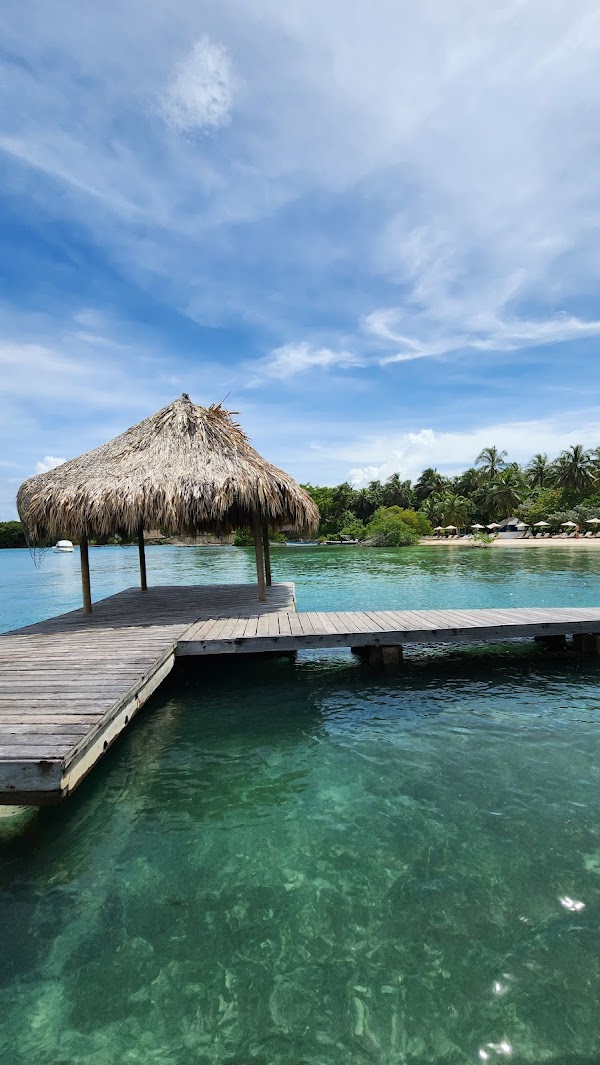 Cholón (Islas del Rosario)