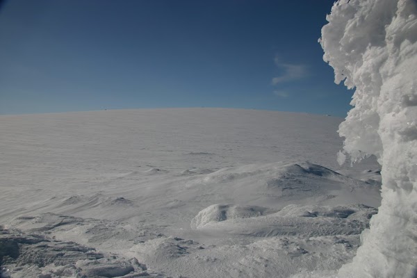 Hardangerjøkulen 1