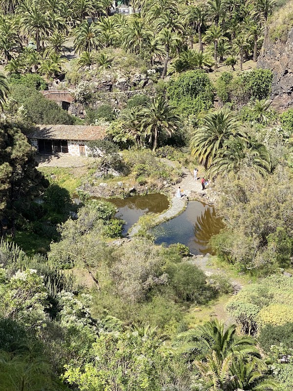 Jardín Botánico Canario Viera y Clavijo 4
