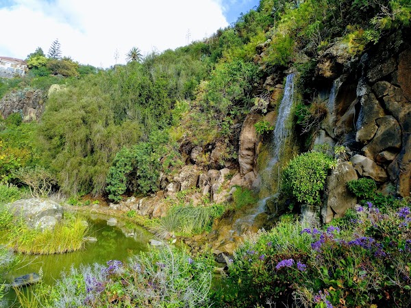 Jardín Botánico Canario Viera y Clavijo 2
