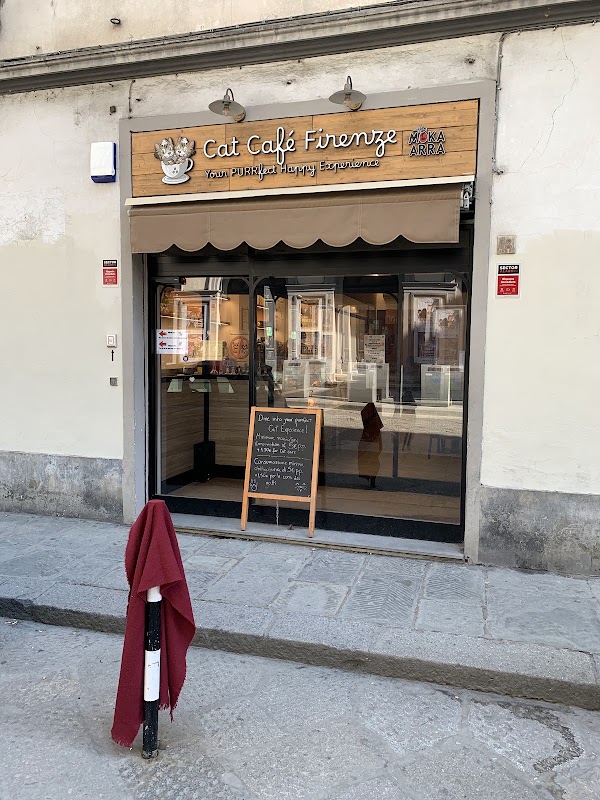 Cat Café Firenze