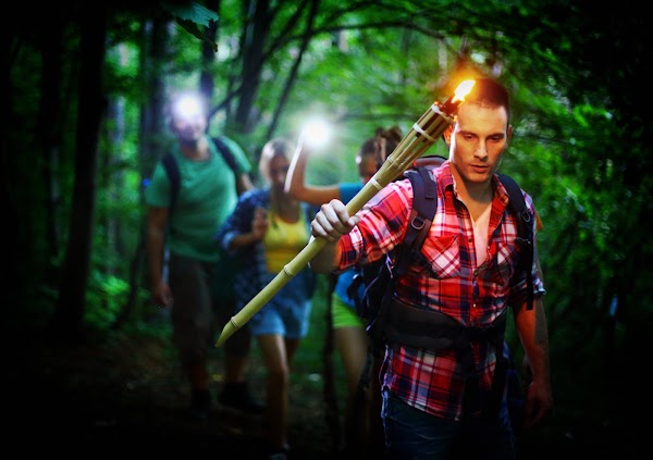 Escape Forest 1