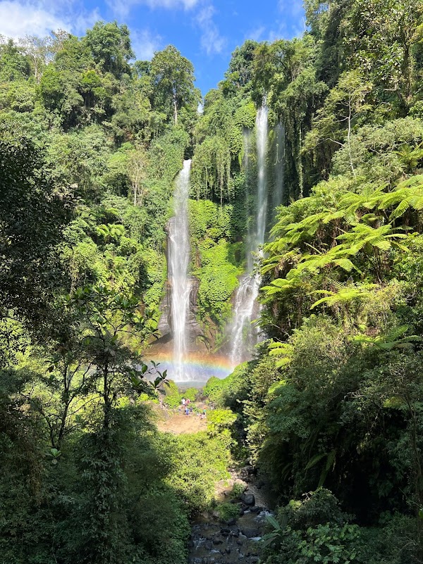 Sekumpul Waterfalls Official Parking 4