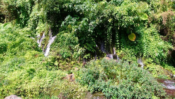 Sekumpul Waterfalls Official Parking 2