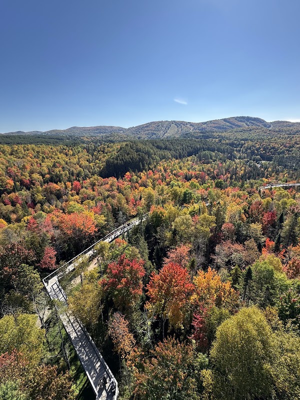 Sentier des cimes Laurentides