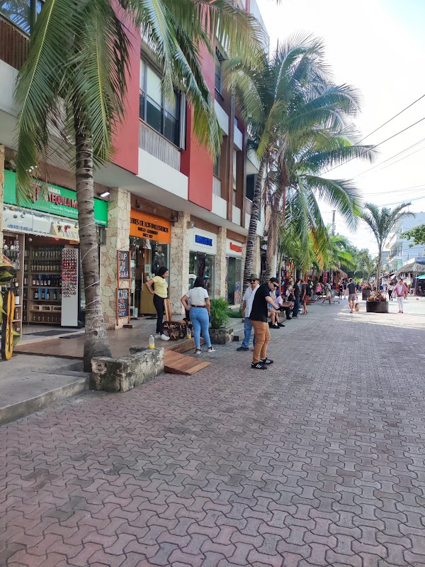 Quinta Avenida