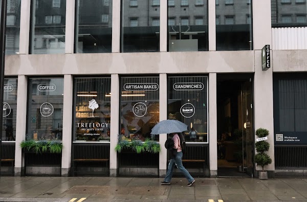 Treelogy Speciality Coffee Paddington