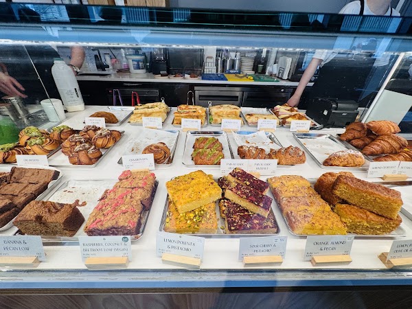 Treelogy Speciality Coffee Paddington 2
