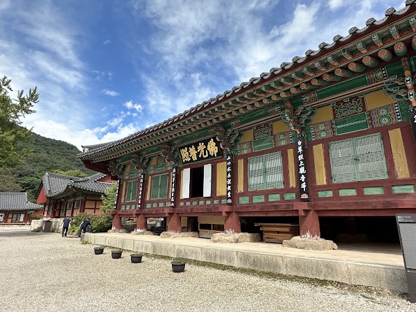불갑산 상사화 축제