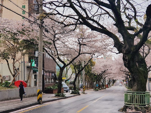 Jeonnong-ro