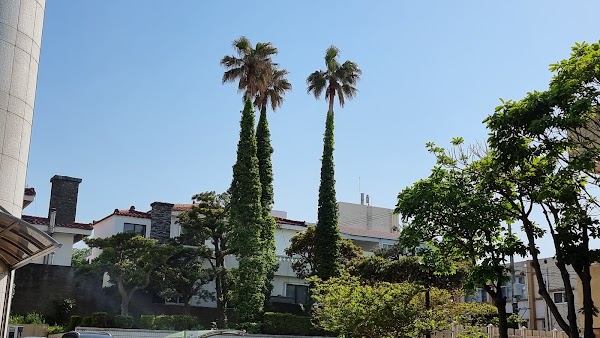 Jeonnong-ro 4