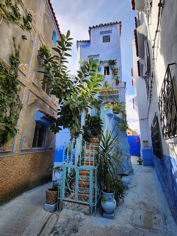 House of Mosaics 1
