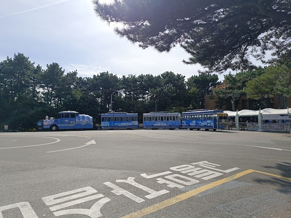 태종대 다누비열차 5