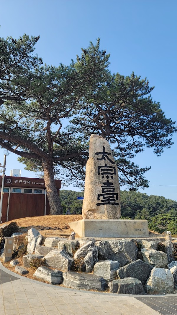 태종대 다누비열차 3