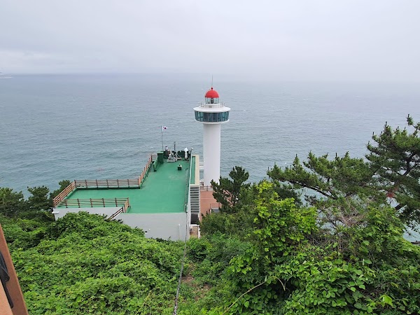 태종대 다누비열차 2