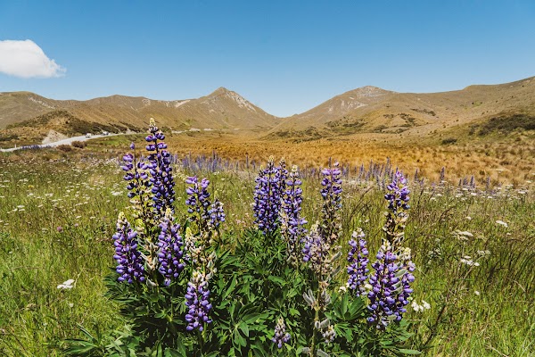Lindis Pass 2