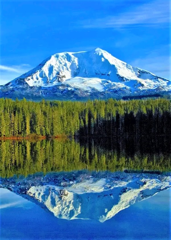 Gifford Pinchot National Forest 1