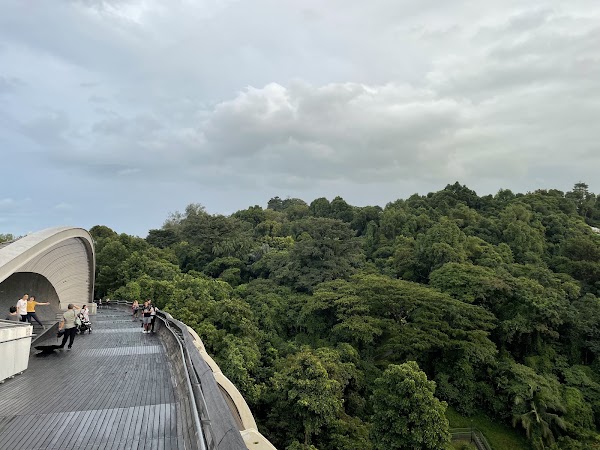 Southern Ridges 5