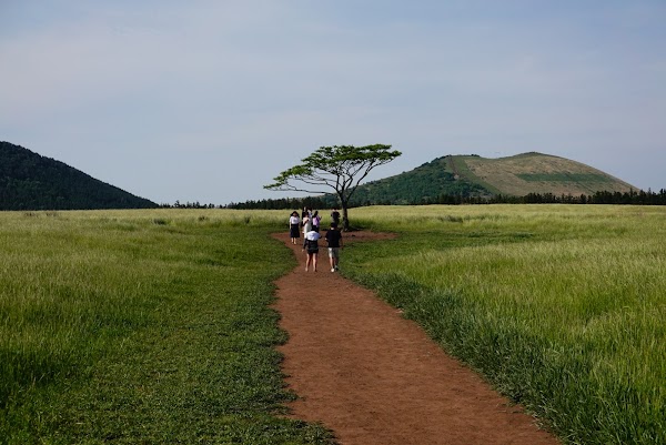 Saebyeol Ohreum (Lonely tree) 4