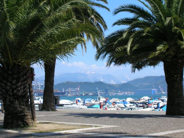 Passeggiata Costantino Morin 1