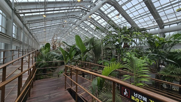 Gapyeong Begonia Bird Park 2