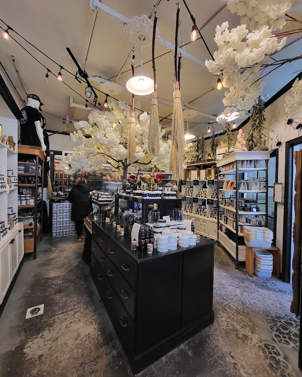 WICK WITCH APOTHECARY 4