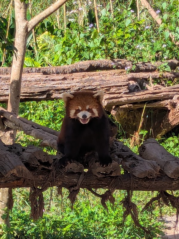Caiyanghe National Forest Park