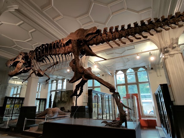 Manchester Museum 5