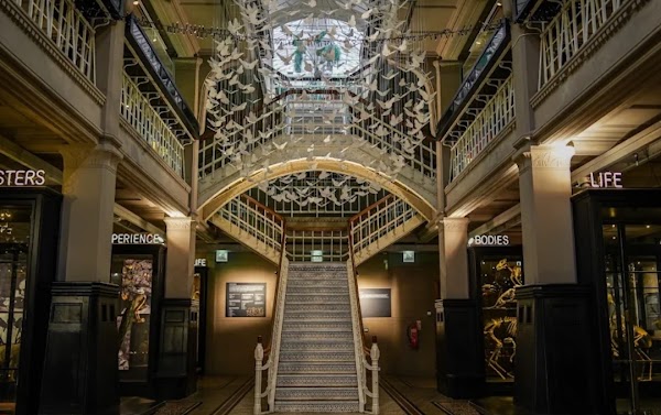 Manchester Museum 4