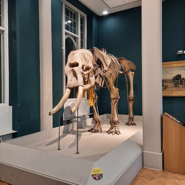 Manchester Museum 3