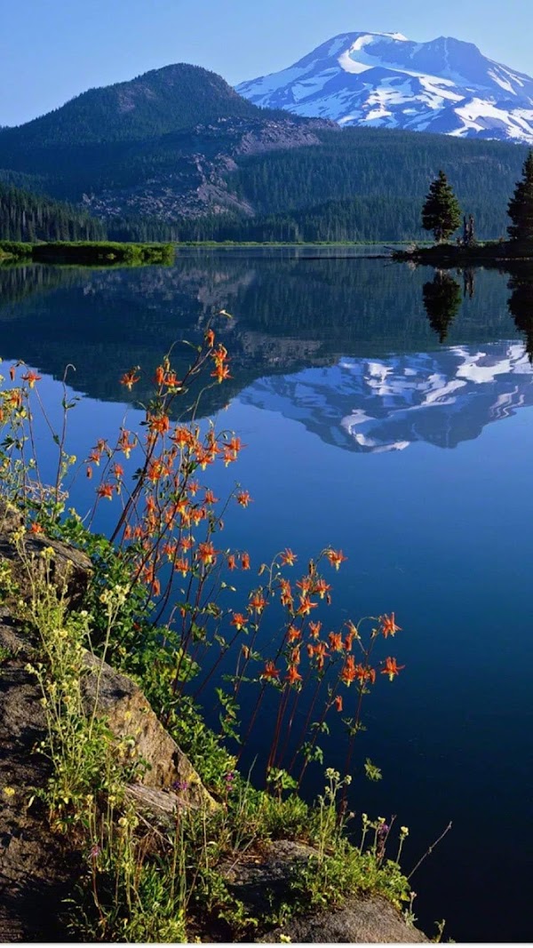 Sparks Lake 5