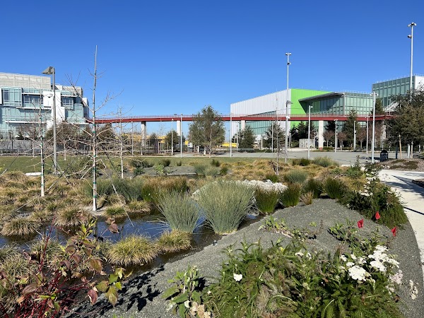 Meta Park.