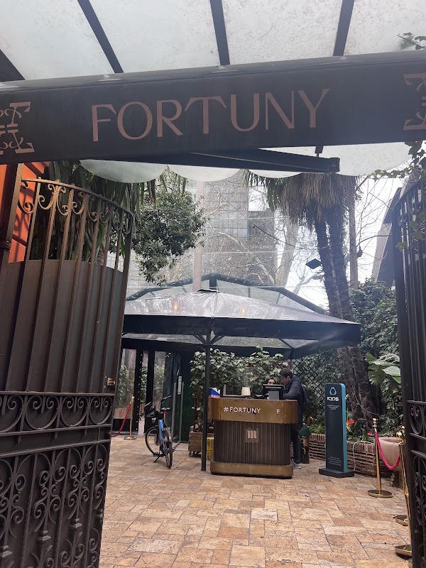Fortuny Home Club 3