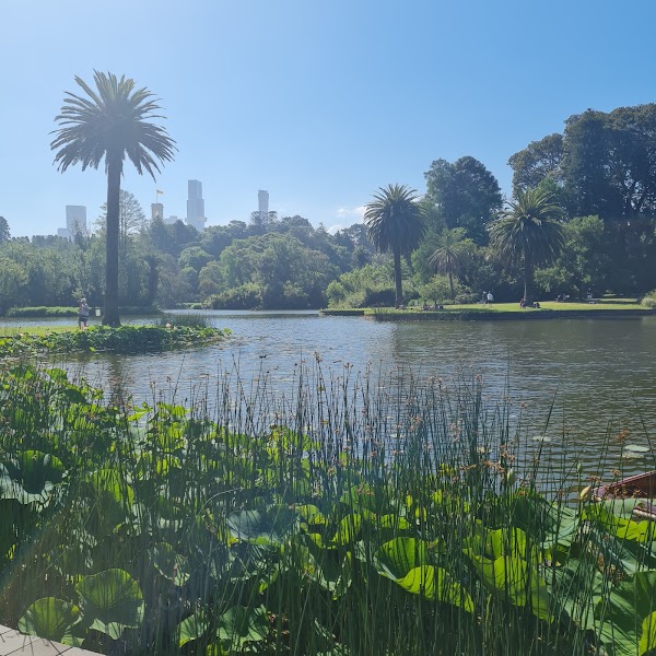 Royal Botanic Gardens Victoria - Melbourne Gardens 4