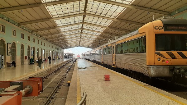 Santa Apolónia