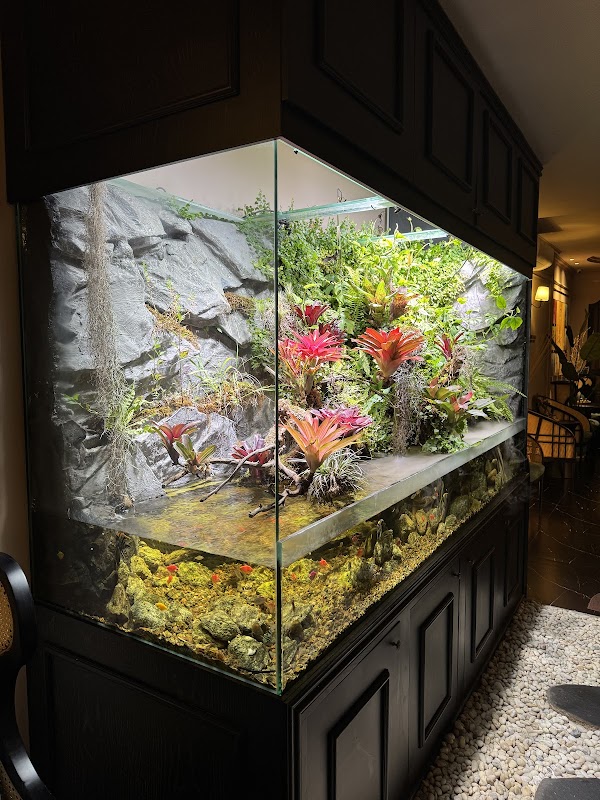 Serene Spa Hanoi 5
