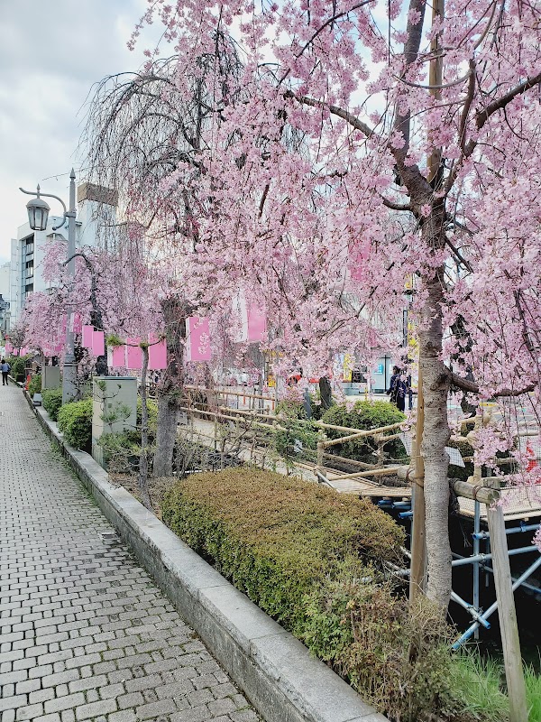 Utsunomiya 4