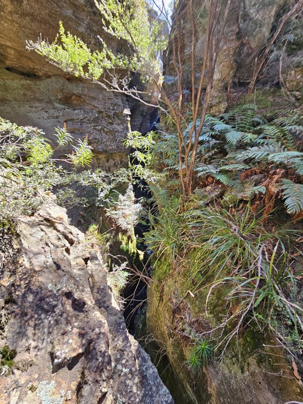 Billabong Canyon