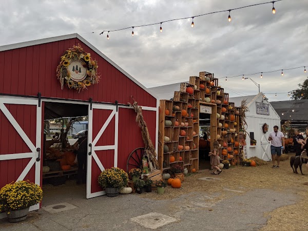 Gallagher's Pumpkin and Christmas Tree's patch