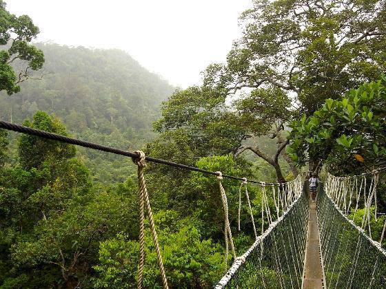 Taman Negara 5