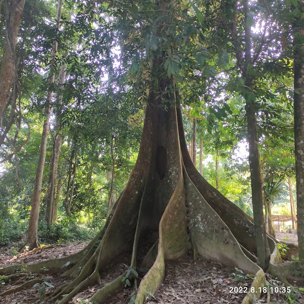 Taman Negara 2